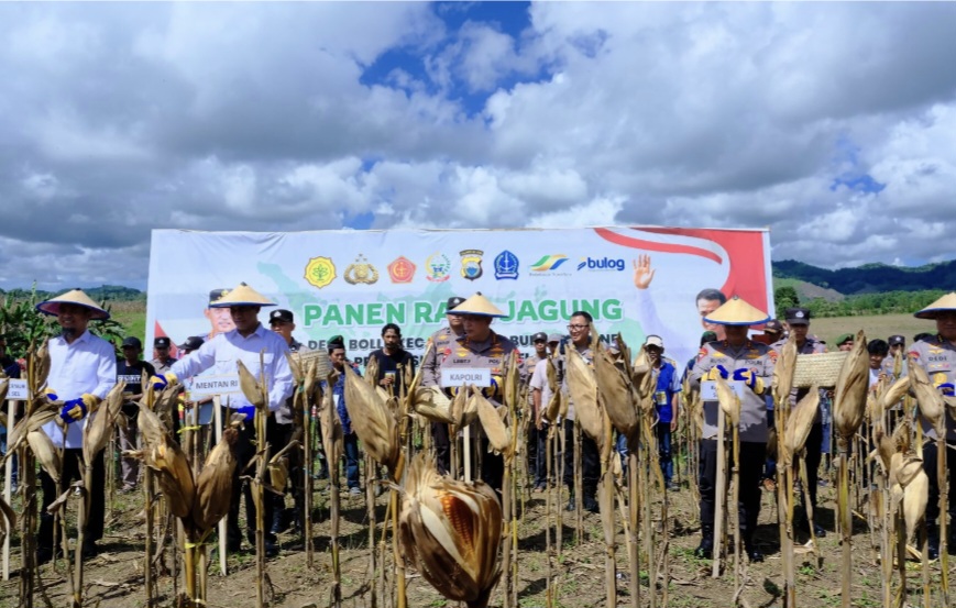 Mentan, Kapolri, dan Kapolda Sulsel Panen Raya Jagung di Kabupaten Bone