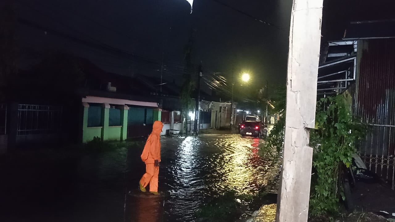 BPBD Tangani Pohon Tumbang dan Evaluasi Warga di Sejumlah Wilayah Rawan