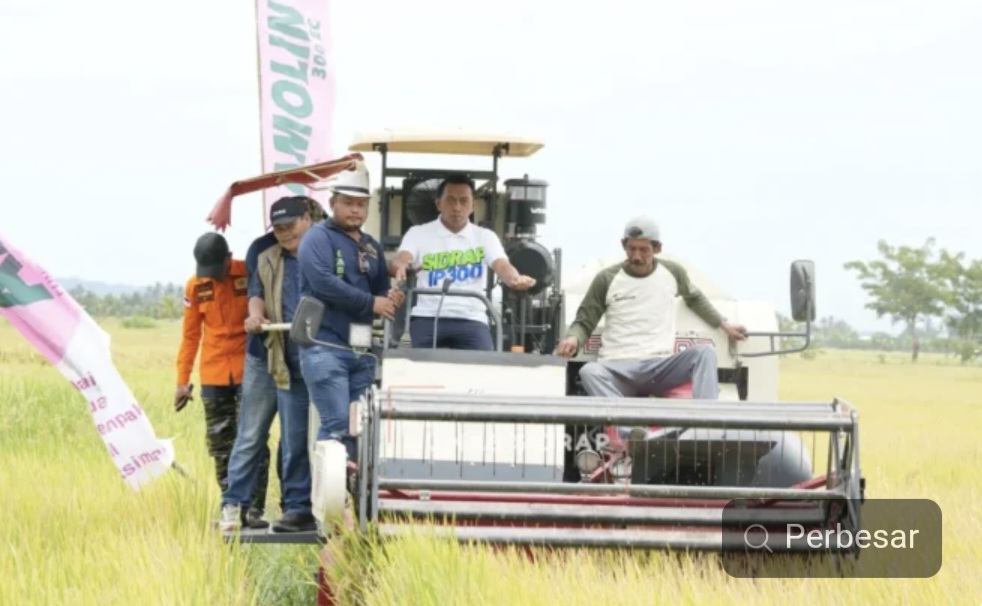 Bupati Syaharuddin Alrif Panen Raya Padi di Otting