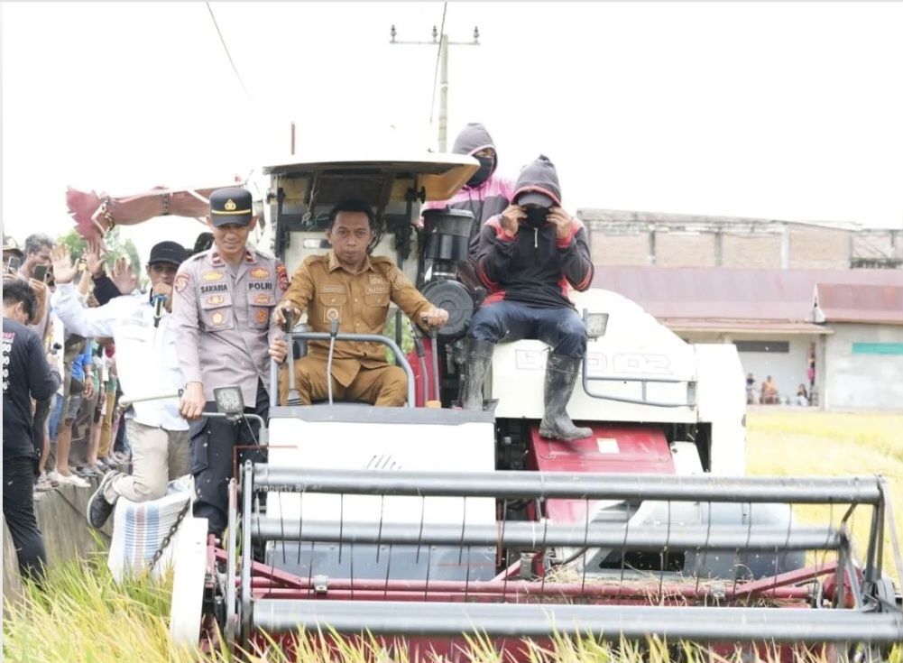 Panen Raya di Bila Riase, Bupati Sidrap Dorong Modernisasi Pertanian
