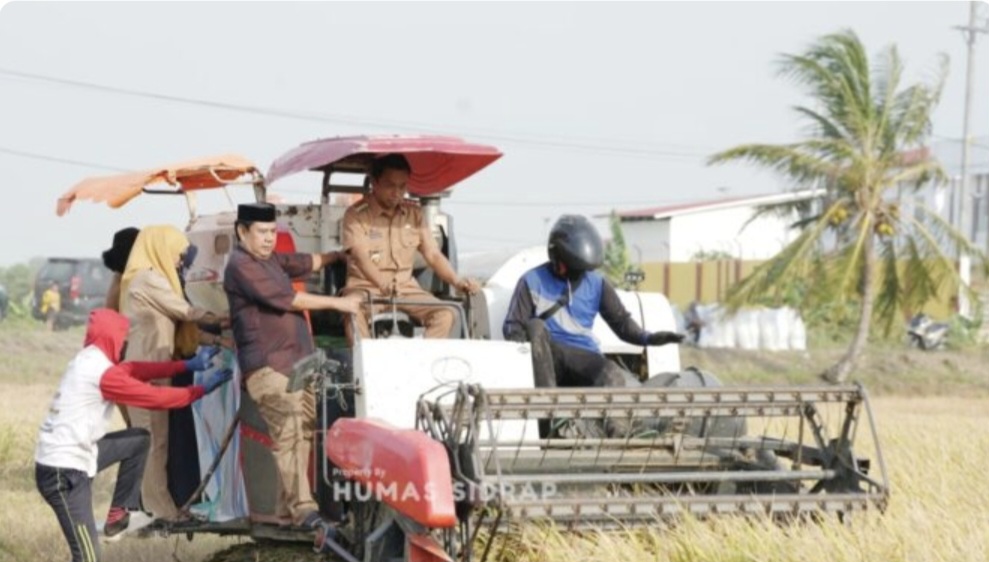 Panen di Dua Pitue, Bupati Sidrap Targetkan 1 Juta Ton Gabah