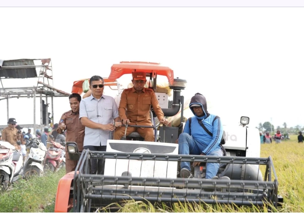 Panen di Wala, Bupati Sidrap Semangati Petani Kejar Target 10 Ton