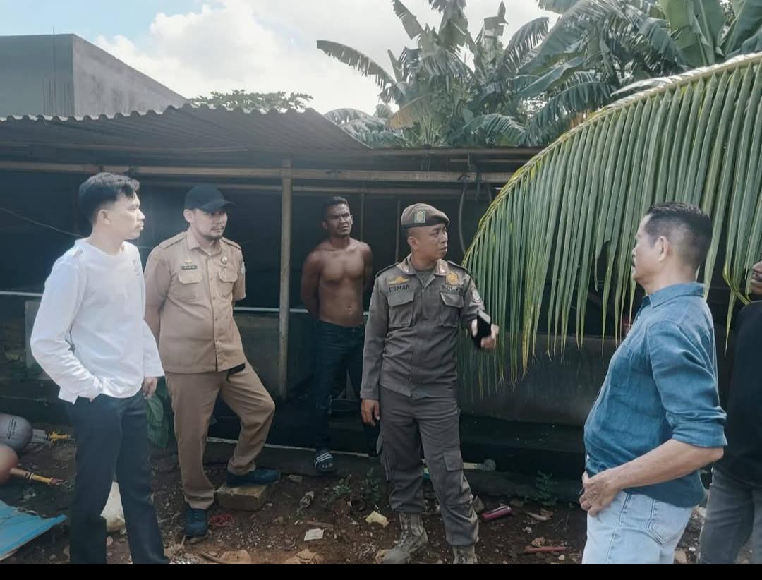 Kandang Babi di Tamalate Ditertibkan, Lokasi Dipastikan Bersih