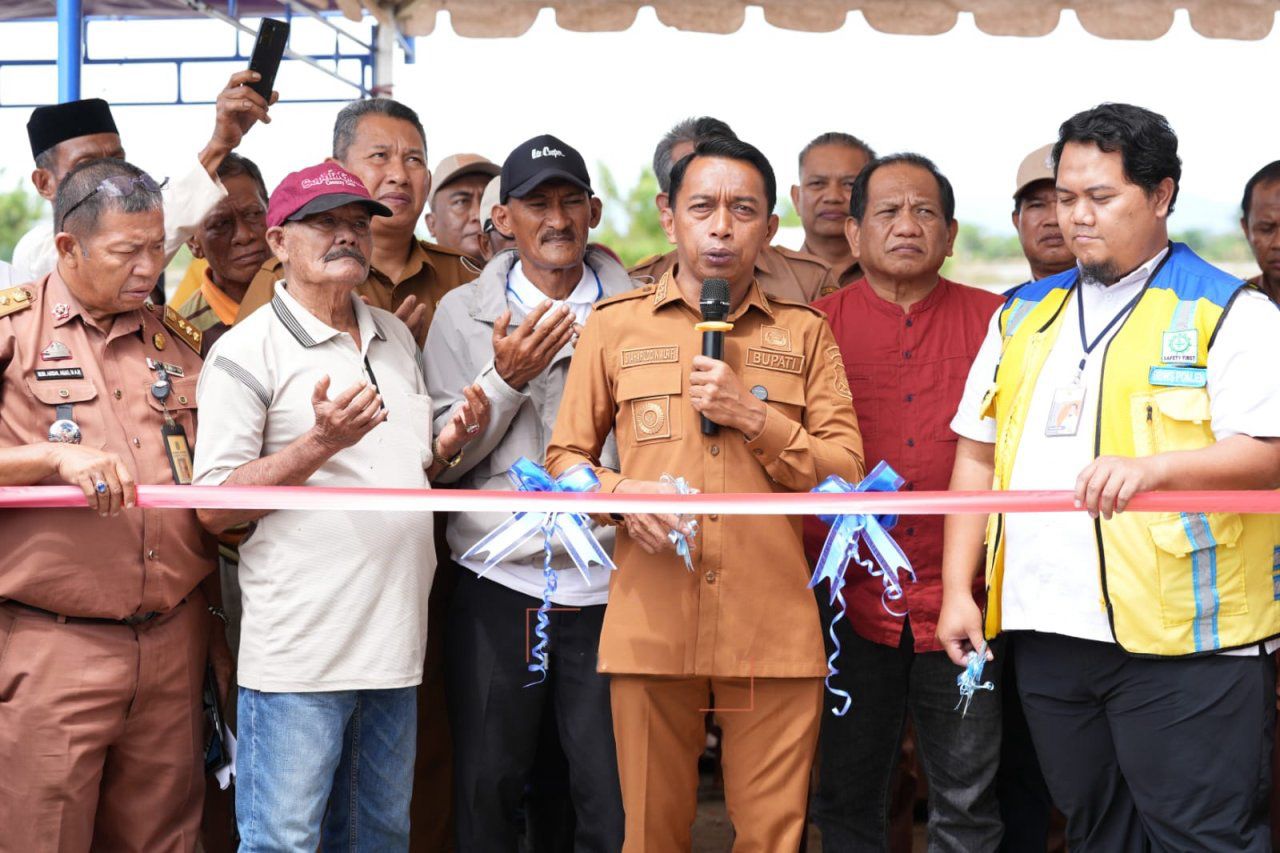 Optimalkan Sawah Tadah Hujan, Pemkab Sidrap Incar Produktivitas 10 Ton per Hektare