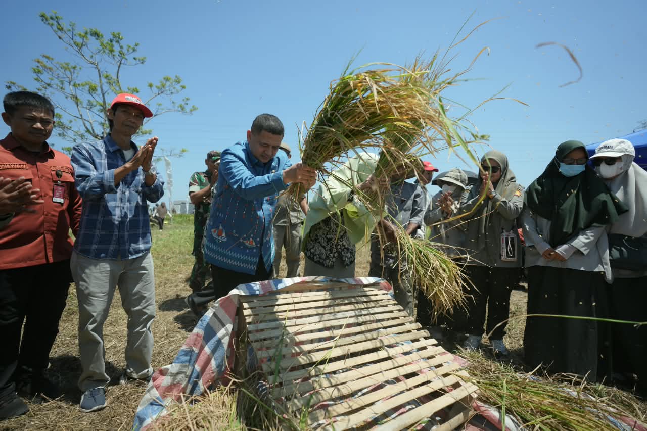Langkah Strategis Pemkot Makassar Wujudkan Urban Farming Berbasis Teknologi