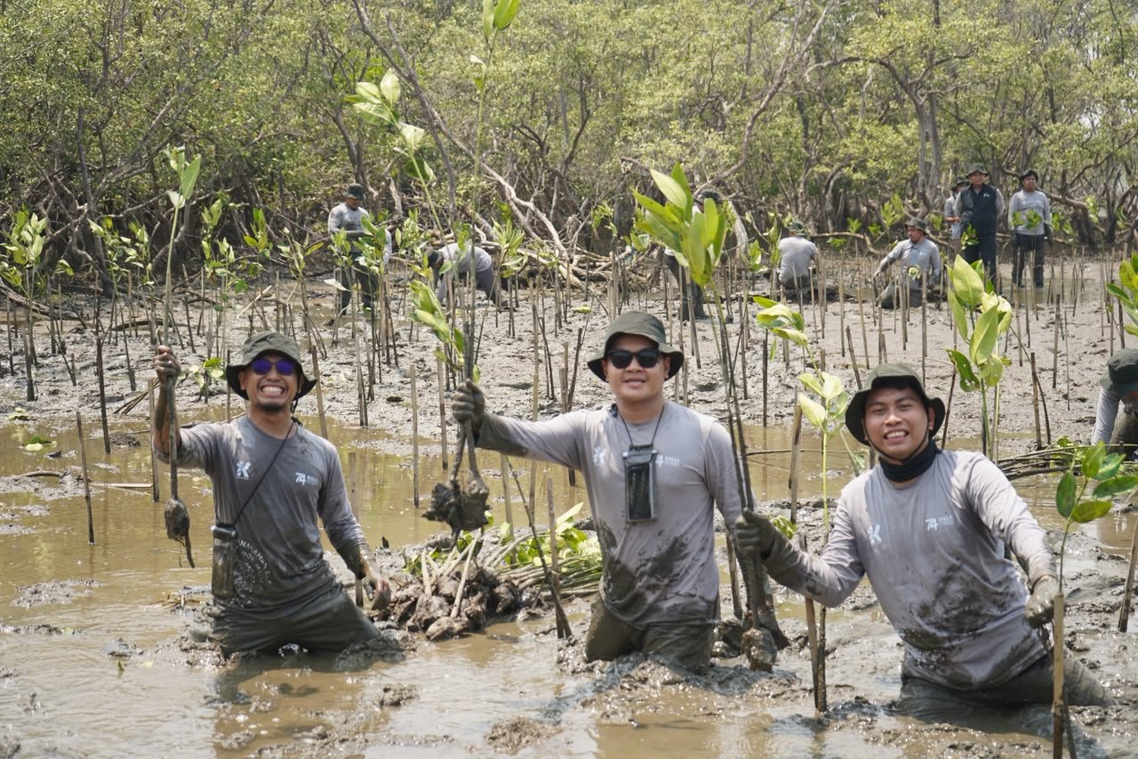 Kalla Toyota Tanam 43.000 Mangrove di Pangkep, Perkuat Pesisir dalam Rangka HUT KALLA ke-74